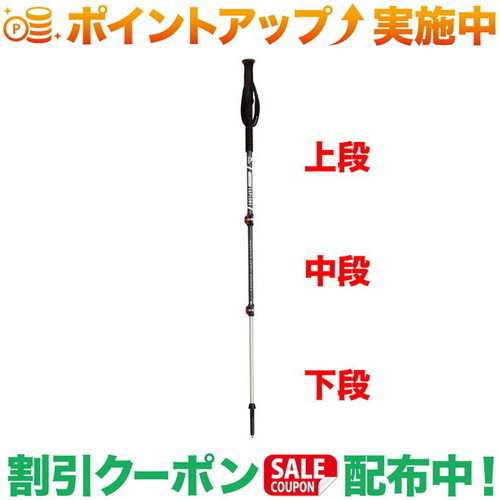 楽天市場】クーポン配布中☆(ピングイン)PINGUIN カーボンFLフォーム