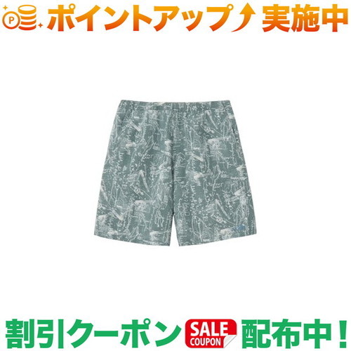 クーポン配布中★(ザ・ノース・フェイス)THE NORTH FACE アロハリップショーツ (ハーフドームドローイングスレートグレー)