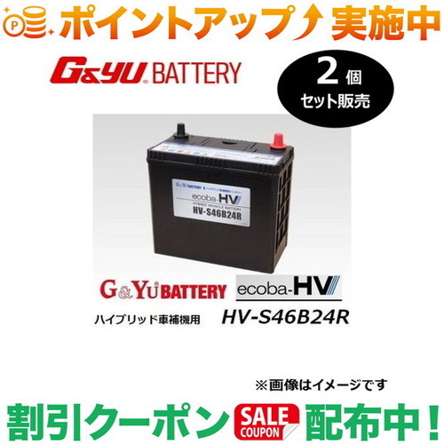 引き換え証離れ離れ中★(G\u0026Yu) 【2個仕掛ける売りわたす】 ecoba HVつづき物 AGM手合い  HV-S46B24R ※北海道、沖縄県の人間宅様への送りとどける不可