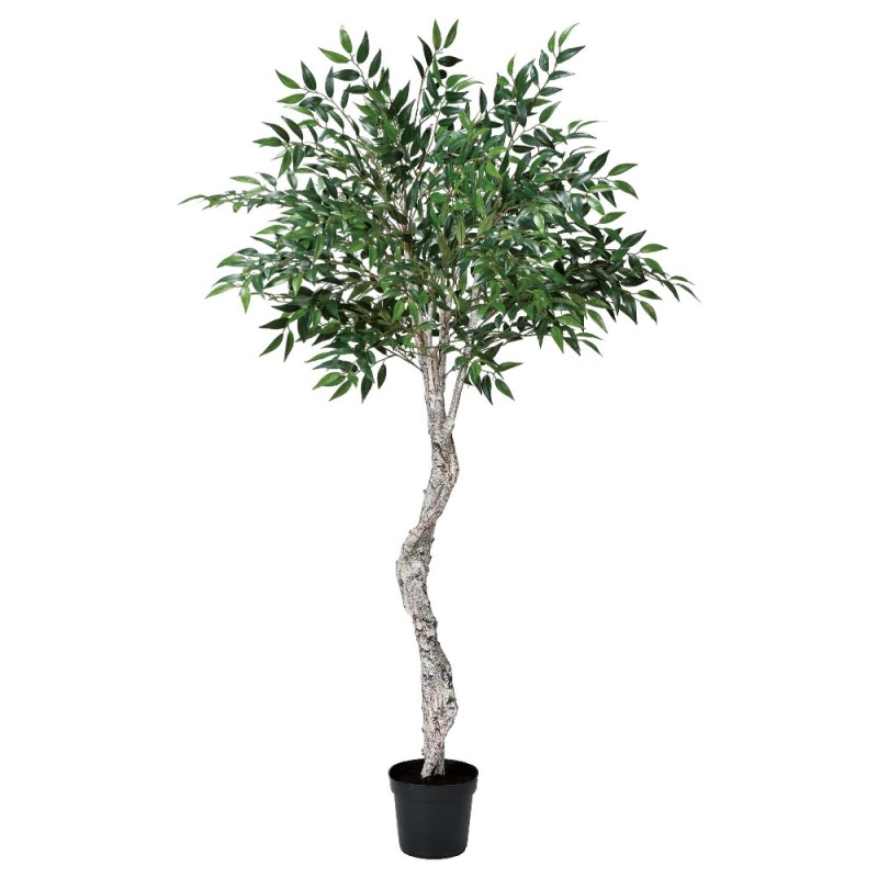 人工観葉植物 スマイラックスツリー (ポット付き) グリーン 高さ170cm (P283-a50879) (代引き不可) インテリアグリーン フェイクグリーン