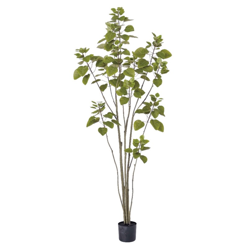 人工観葉植物 スモークツリー （ポット付き） ライトグリーン 高さ155cm （P280-a50898) （代引き不可） インテリアグリーン フェイクグリーン｜人形のゆめさき