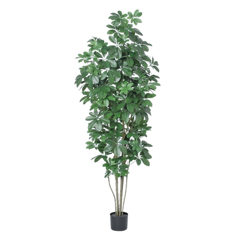 人工観葉植物 シェフレラ (ポット付き) グリーン 高さ180cm (P286-a50899) (代引き不可) インテリアグリーン フェイクグリーン|人形のゆめさき