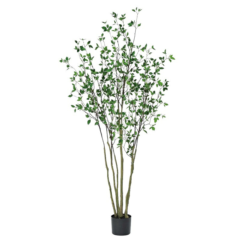 人工観葉植物 ドウダン (ポット付き) グリーン 高さ210cm (P279-a50948) (代引き不可) インテリアグリーン フェイクグリーン|人形のゆめさき