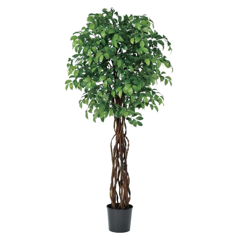 人工観葉植物 サカキツリー (ポット付き) グリーン 高さ185cm (P285-a50952) (代引き不可) インテリアグリーン フェイクグリーン|人形のゆめさき
