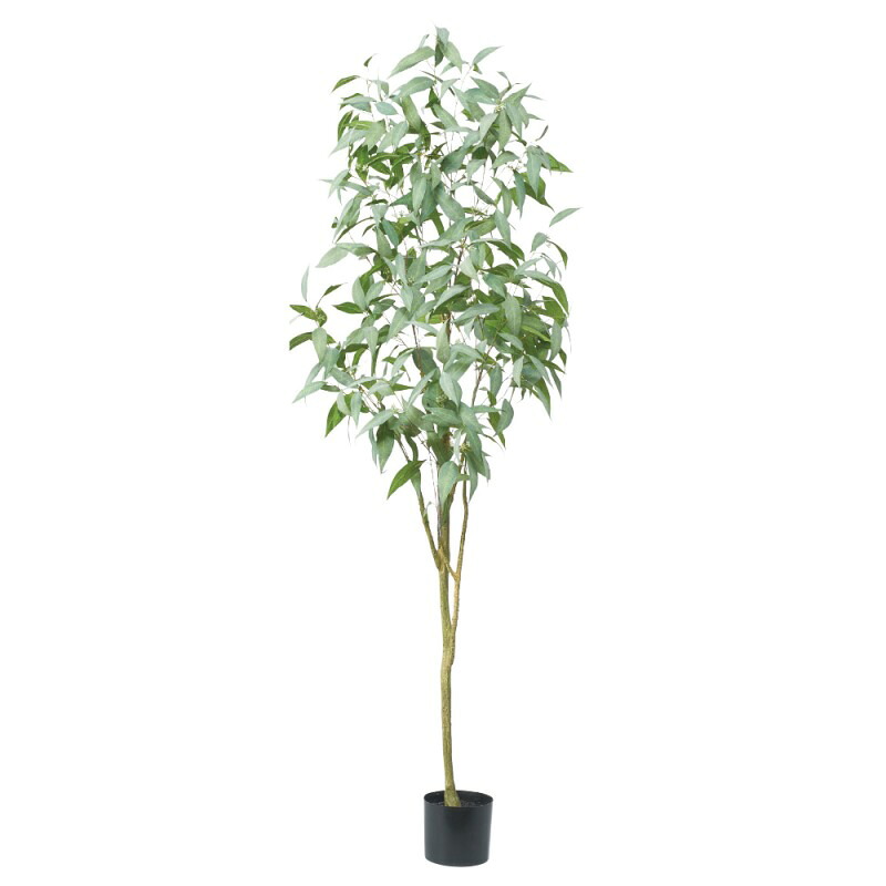人工観葉植物 ユーカリ （ポット付き） グリーン 高さ200cm （P282-a51040) （代引き不可） インテリアグリーン フェイクグリーン｜人形のゆめさき