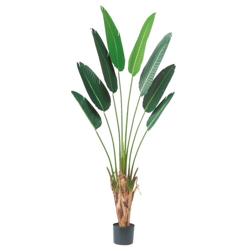 人工観葉植物 トラベルパーム （ポット付き） グリーン 高さ180cm （P290-a51046) （代引き不可） インテリアグリーン フェイクグリーン｜人形のゆめさき
