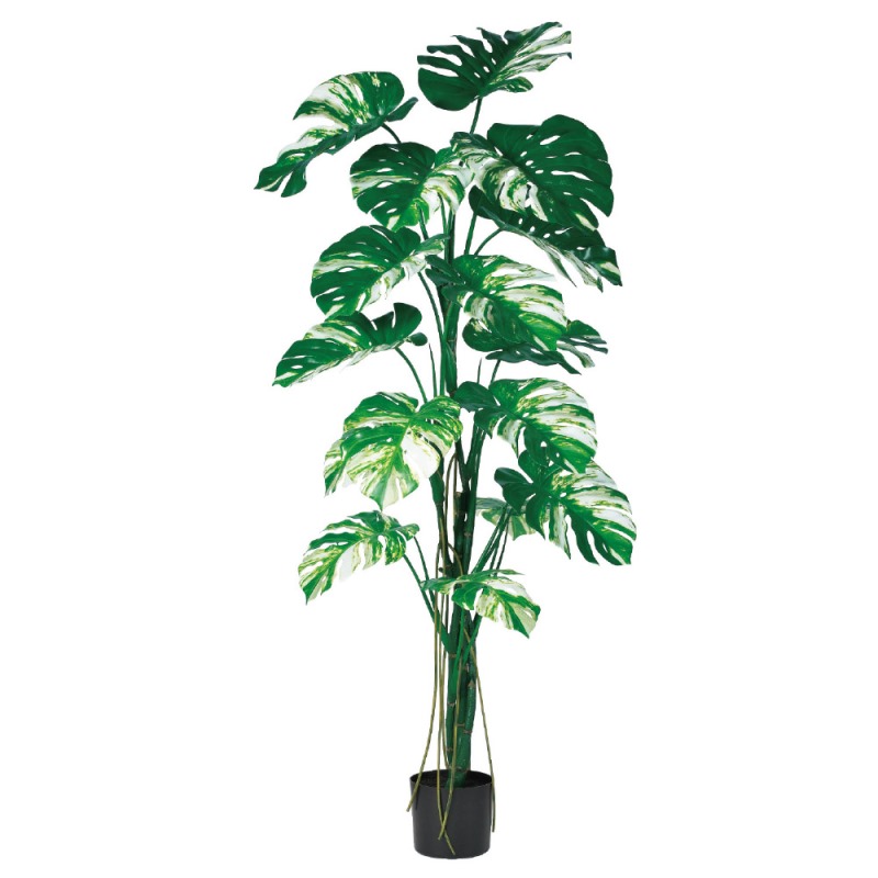 人工観葉植物 モンステラ （ポット付き） ヴァリゲイトグリーン 高さ180cm （P289-a51073) （代引き不可） インテリアグリーン フェイクグリーン