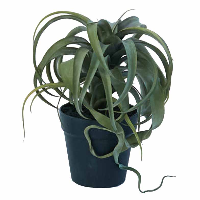 人工観葉草木 キセログラフィカ ポット 30（1個入り口・入口）991541 多肉植物 （代引っ張ること不可） 室内装飾 フェイクグリーン 造花 POT SUCCULENT （p69）