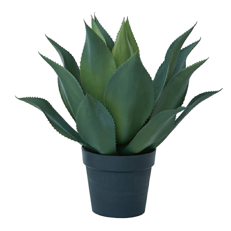人工観葉植物 アガベ アテナータ ポット 50(1個入り)991700 多肉植物 (代引き不可) インテリア フェイクグリーン 造花 POT SUCCULENT (p67)|人形のゆめさき
