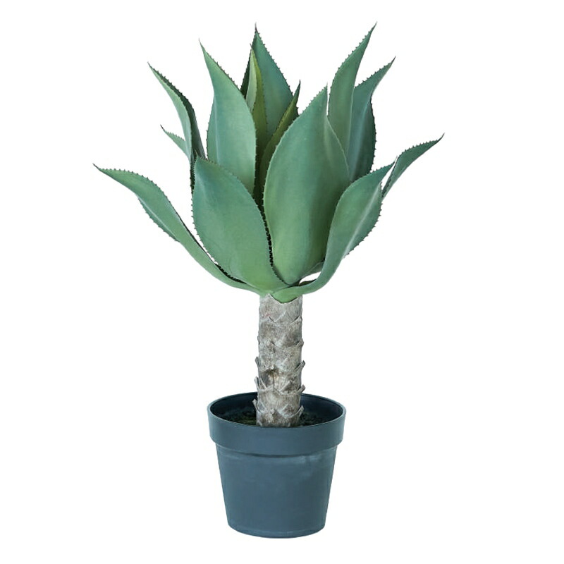 楽天市場】人工観葉植物 ブラックオリーブ コアッド 230 ポット付き 高