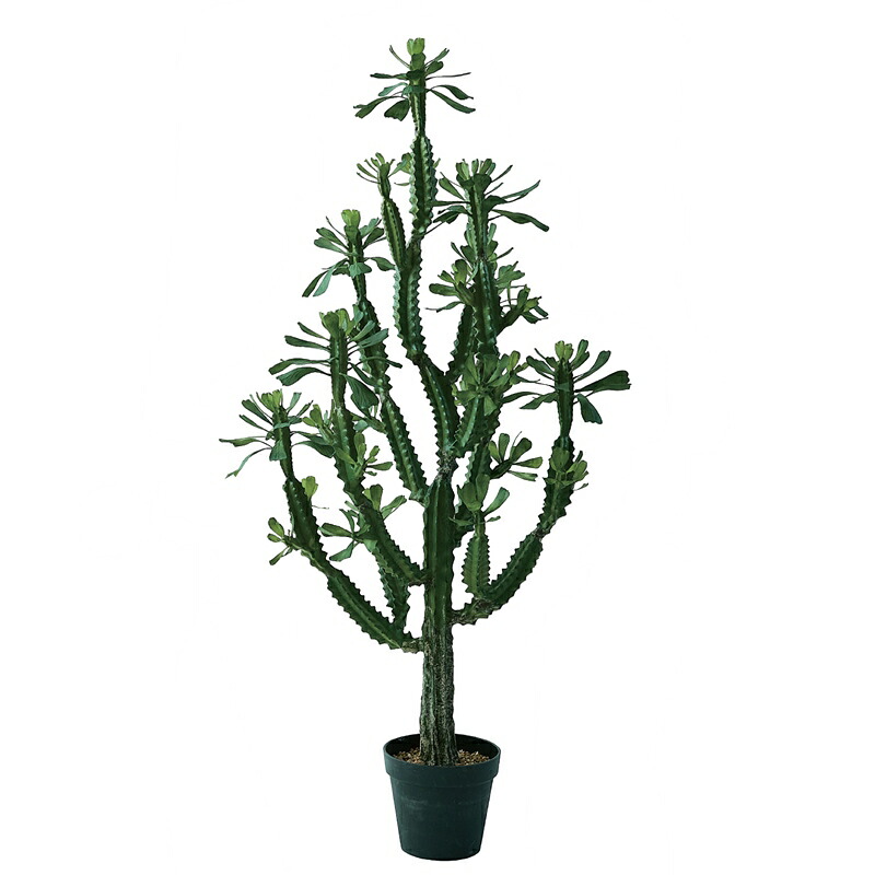 人工観葉植物 ユーフォルビア ポット 147（1個入り）991900 サボテン （代引き不可） インテリア フェイクグリーン 造花 CACTUS （p87）