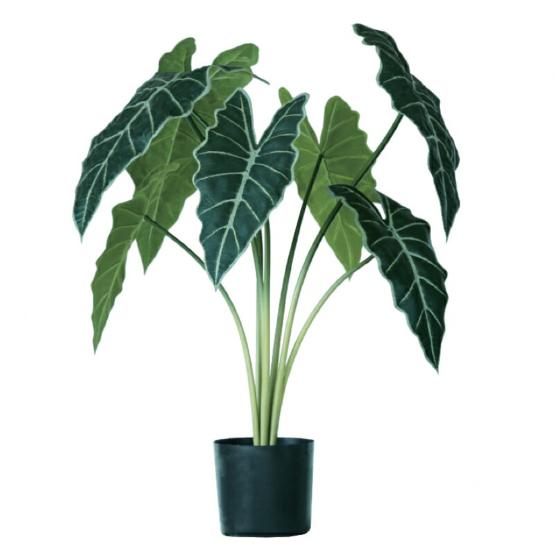 人工観葉草木 アローカシア ポット 61（1個入り口・入口）992041 観葉草木 （代引っ張ること不可） 室内装飾 フェイクグリーン 造花 GARDEN PLANT （p32）