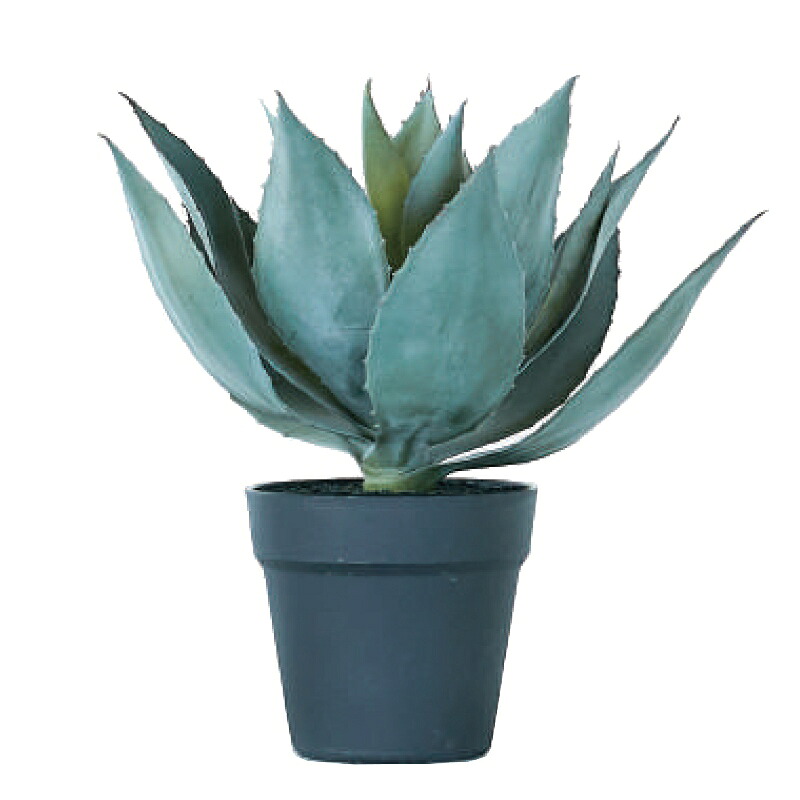人工観葉草木 アガベ ポット 32（1個入り口・入口）992181 多肉植物 （代引っ張ること不可） 室内装飾 フェイクグリーン 造花 POT SUCCULENT （p67）