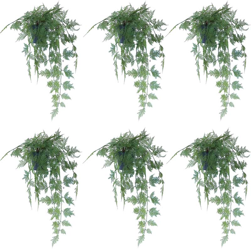 人工観葉植物 アスパラガス ポット 63（6個入り）992420 観葉植物 （代引き不可） インテリア フェイクグリーン 造花POT INDOOR （p39）｜人形のゆめさき 15,057円