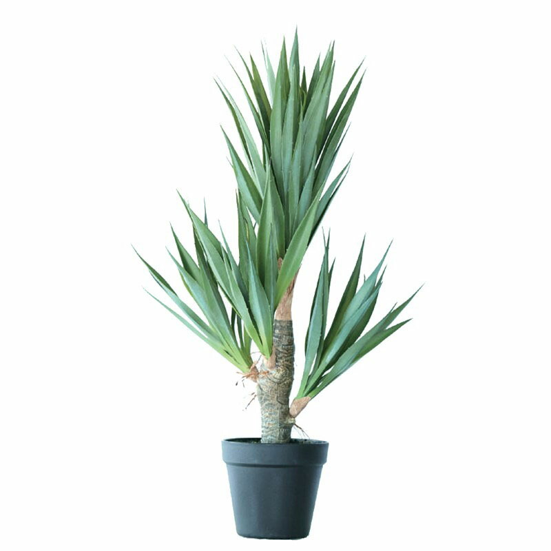 人工観葉草木 アガベ サイザラーナ ポット 58（1個入り口・入口）992501 多肉植物 （代引っ張ること不可） 室内装飾 フェイクグリーン 造花 POT SUCCULENT （p71）
