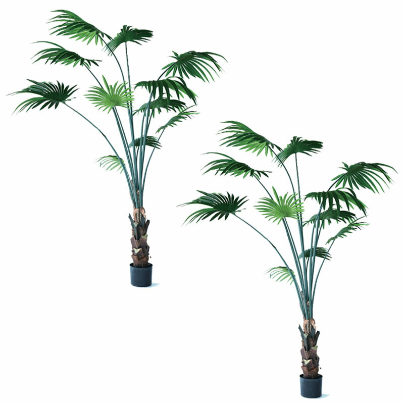 光触媒　人工観葉植物　ウォールグリーン　フェイクグリーン　ケンチャヤシポット15 楽天市場】人工観葉植物 ケンチャヤシ ポット 152（1個入り