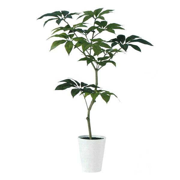 人工観葉植物 ツピダンサス FST 150cm 高さ150cm （P208-dt91603) （代引き不可） インテリアグリーン フェイクグリーン｜人形のゆめさき