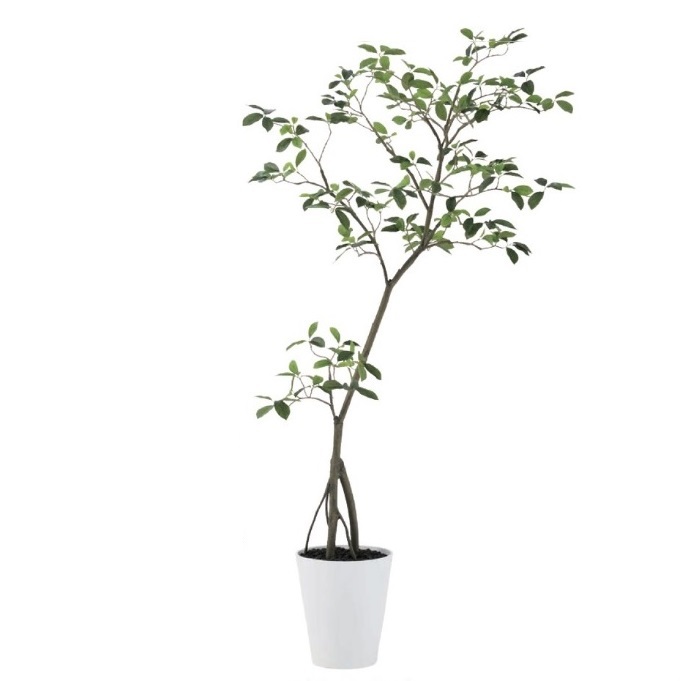 人工観葉草木 カジュマル FST 180珊 GREEN 高さ180珊 （P208-dt91810) （代引っ張ること不可） 室内装飾緑であること フェイクグリーン