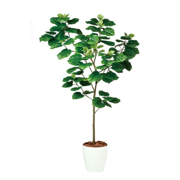 人工観葉草木 ウンベラータ FST 180糎 高さ180糎 （P208-dt99100) （代引っ張ること不可） 室内装飾緑であること フェイクグリーン
