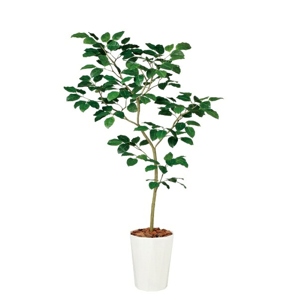 人工観葉草木 ベンガルボダイジュ FST 180糎 高さ180糎 （P208-dt99114) （代引っ張ること不可） 室内装飾緑であること フェイクグリーン