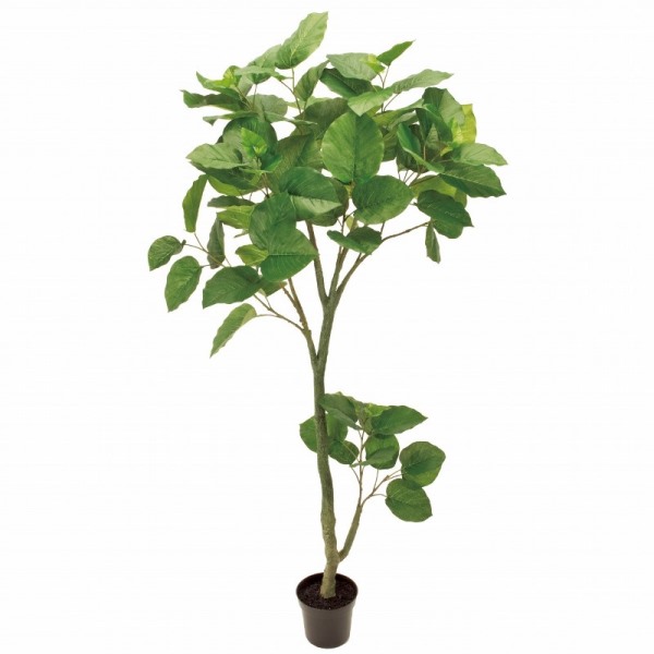 人工観葉植物 ウンベラータ 高さ180cm (P198-fg16500) (代引き不可) インテリアグリーン フェイクグリーン|人形のゆめさき