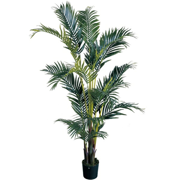 人工観葉植物 ケンチャパーム 高さ140cm (P204-fg22401) (代引き不可) インテリアグリーン フェイクグリーン|人形のゆめさき