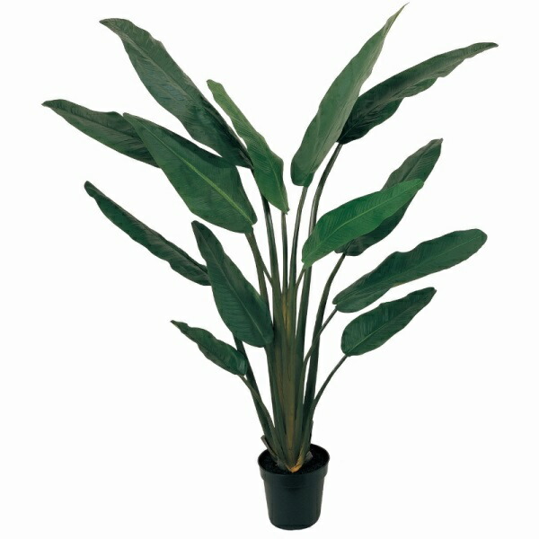 人工観葉植物 トラベラーズパーム ポット 高さ180cm (P205-fg22663) (代引き不可) インテリアグリーン フェイクグリーン