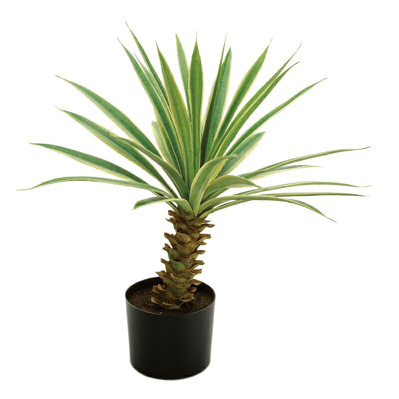 人工観葉植物 ユッカ ポット 班入り 高さ70cm (P202-fg292) (代引き不可) インテリアグリーン フェイクグリーン|人形のゆめさき