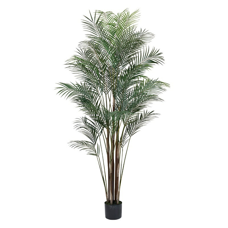 人工観葉植物 ワイルドパーム ポット 高さ180cm （P205-fg661) （代引き不可） インテリアグリーン フェイクグリーン