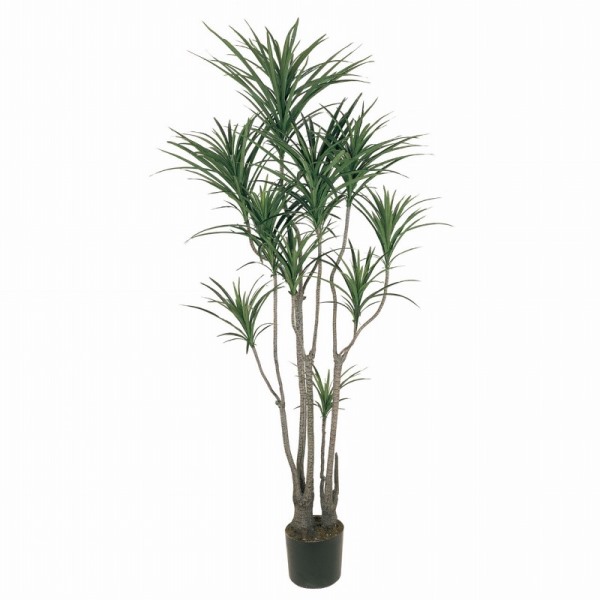 人工観葉植物 ユッカポット L 高さ185cm （P203-fg7648) （代引き不可） インテリアグリーン フェイクグリーン
