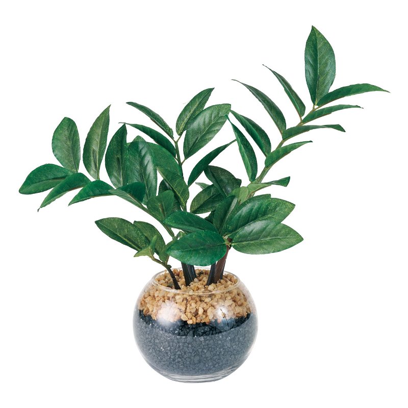 人工観葉植物 ザミオクルカズ ラウンドグラス 高さ27cm （P191-fz566) （代引き不可） インテリアグリーン フェイクグリーン