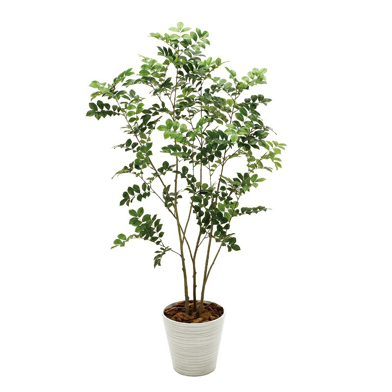 人工観葉植物 トネリコ プランター入り 高さ160cm (P206-mgf30197) (代引き不可) インテリアグリーン フェイクグリーン|人形のゆめさき