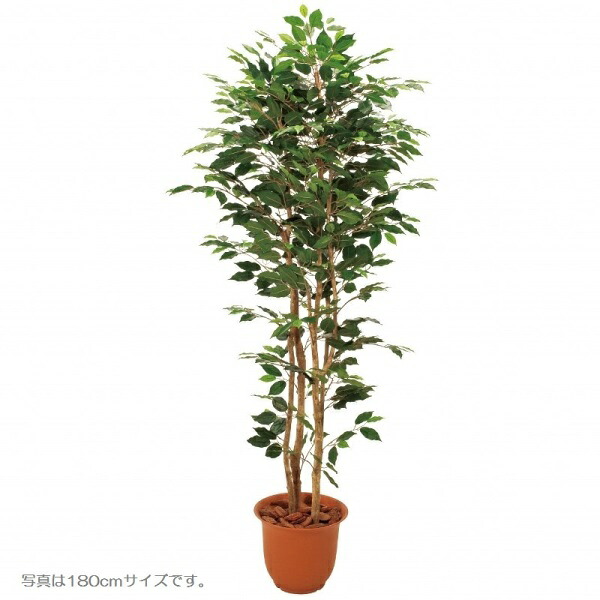 人工観葉植物 ベンジャミン3本立 150cm 高さ150cm （P207-sk1095) （代引き不可） インテリアグリーン フェイクグリーン｜人形のゆめさき