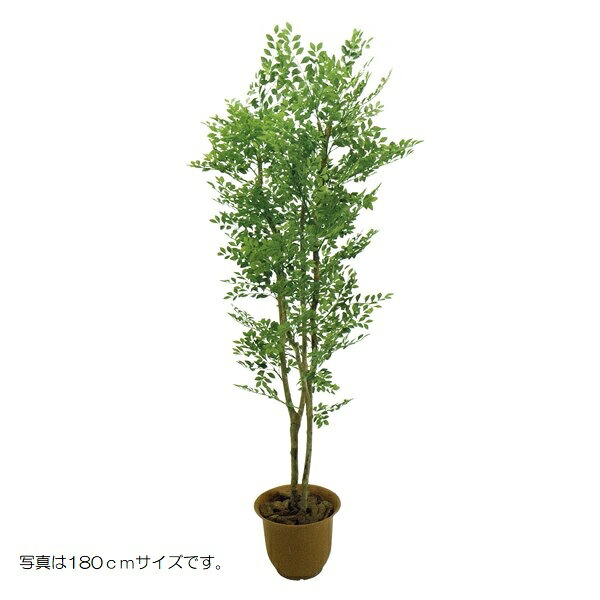 人工観葉植物 ゴールデンリーフ 150cm 高さ150cm （P207-sk2005) （代引き不可） インテリアグリーン フェイクグリーン