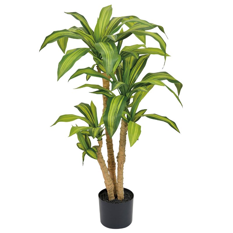 人工観葉植物 ドラセナマッサンゲアナ 光触媒加工 高さ95cm （P203-zv1917) （代引き不可） インテリアグリーン フェイクグリーン｜人形のゆめさき