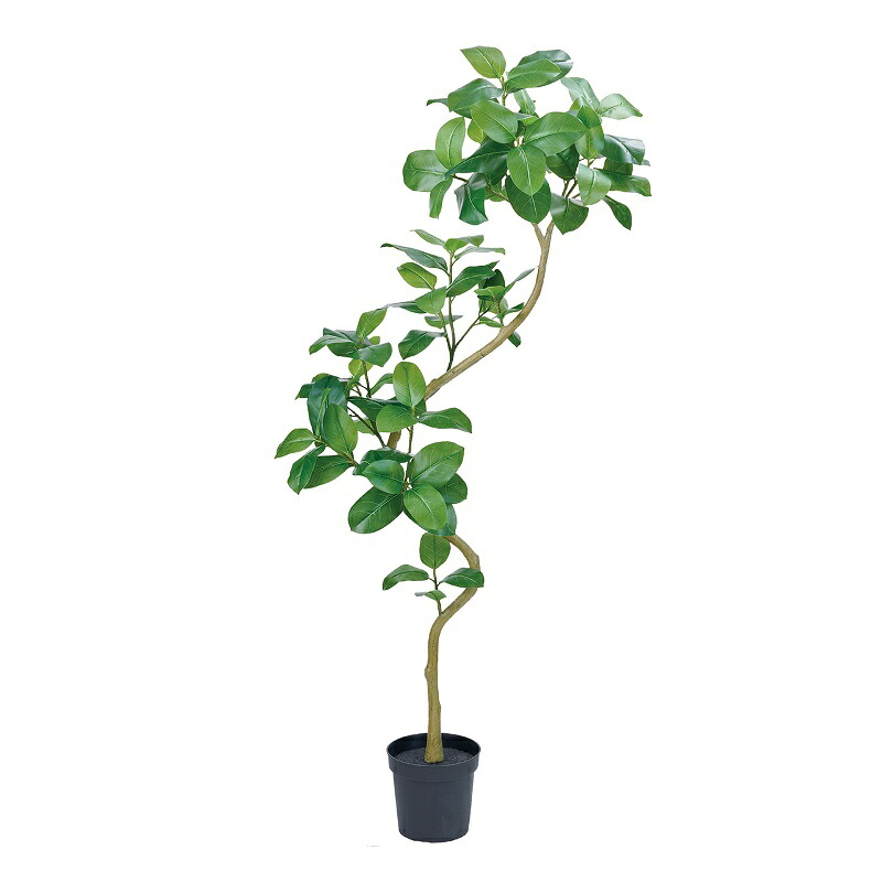 人工観葉植物 アルテシマ エレガントスパイラル 光触媒加工 高さ200cm (P199-zv2256) (代引き不可) インテリアグリーン フェイクグリーン|人形のゆめさき