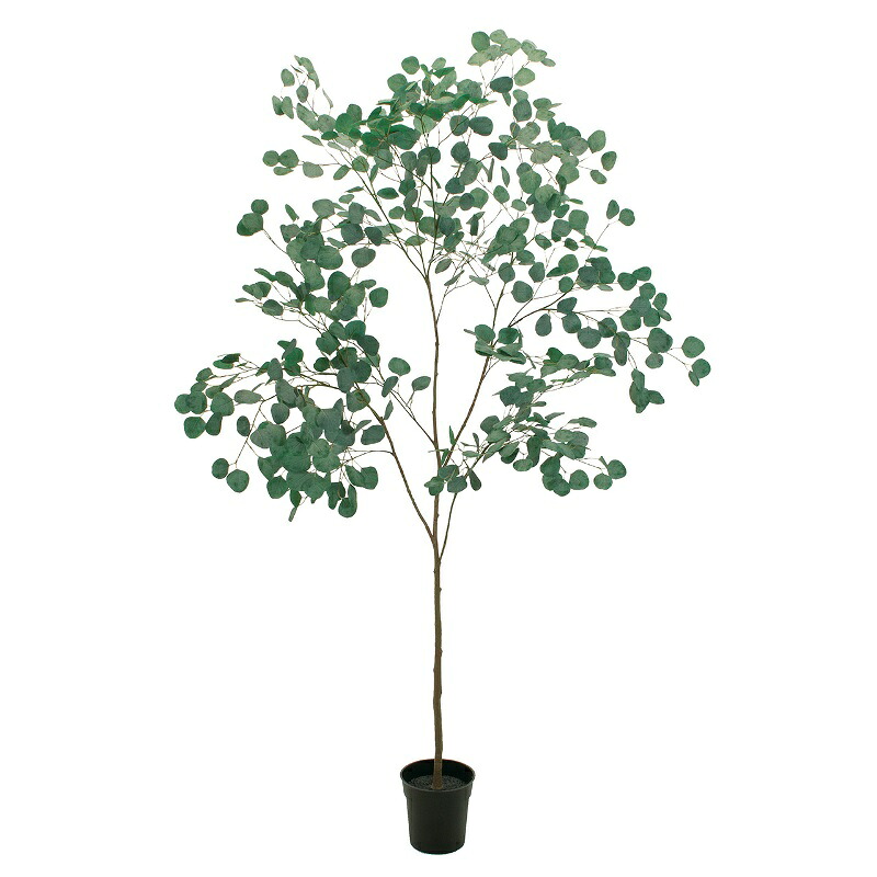 人工観葉植物 ユーカリ ポット 光触媒加工 高さ180cm （P194-zv300673) （代引き不可） インテリアグリーン フェイクグリーン｜人形のゆめさき