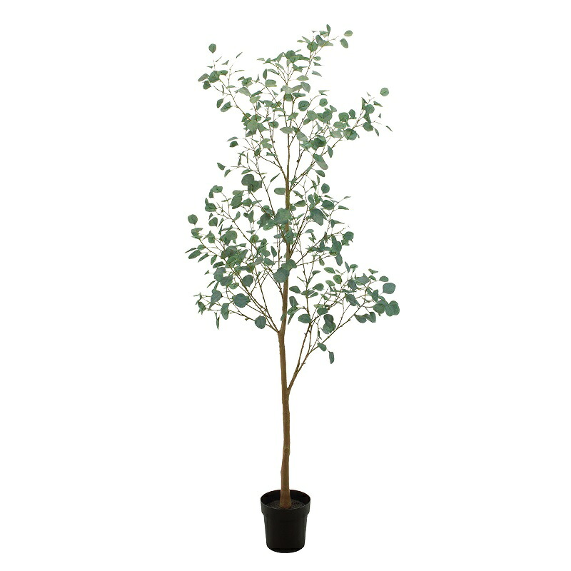 人工観葉植物 ユーカリブランチ ポット L 光触媒加工 高さ210cm (P195-zv307772) (代引き不可) インテリアグリーン フェイクグリーン|人形のゆめさき