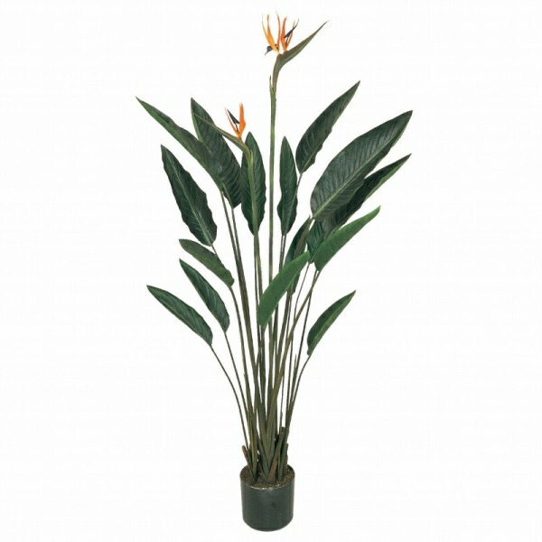 人工観葉植物 ストレチアプラント 光触媒加工 高さ140cm (P205-zv7416) (代引き不可) インテリアグリーン フェイクグリーン|人形のゆめさき