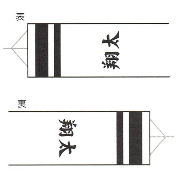 徳永鯉 鯉のぼり 吹き流し 10m～2.5m鯉用 区別不能の名まえを横書き [tn-F5a] 日本の言い慣わし培養 こい旗国