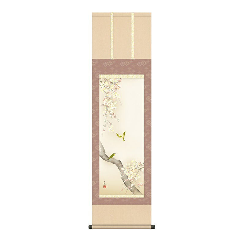 掛軸 花鳥画 春掛け 桜花に小鳥 尺三 西尾香悦 [KZ1MA6-35A](代引き不可)