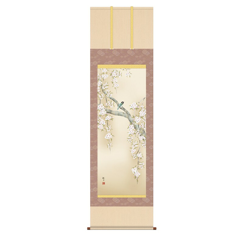 掛軸 花鳥画 春掛け 桜花に小鳥 尺五 森山観月 [KZ2A2-085](代引き不可)｜人形のゆめさき