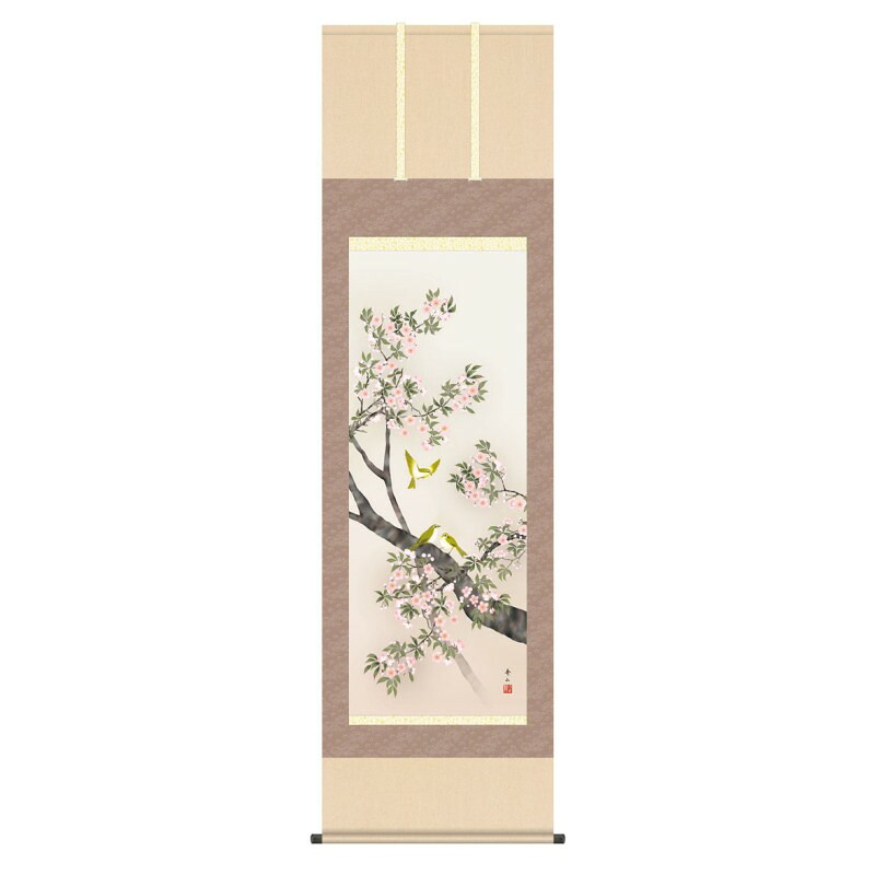 掛軸 日本画 花鳥画 鈴村秀山 桜花に小鳥 (おうかにことり) 尺五 (KZ3A6-36A) (代引き不可)|人形のゆめさき