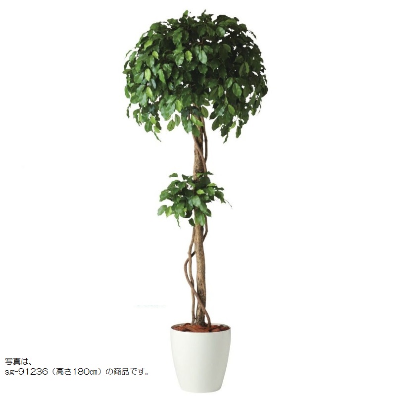 人工観葉草木 フィッカスベンシャミナダブル 200 natural ポット付き添い人 高さ200糎 （P58-91235) （代引っ張ること不可） 室内装飾緑であること フェイクグリーン