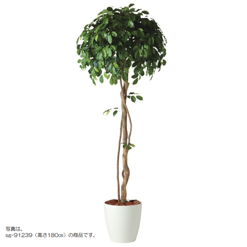 人工観葉植物 フィッカスベンシャミナシングル 200 natural ポット付き 高さ200cm （P58-91238) （代引き不可） インテリアグリーン フェイクグリーン