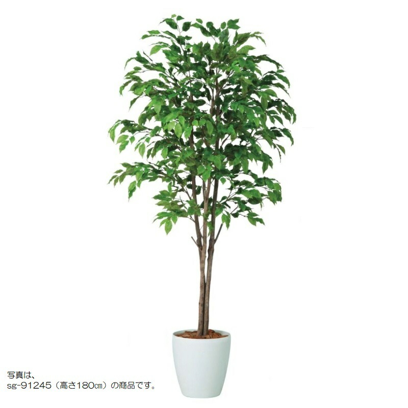 人工観葉草木 ベンシャミナスプラッシュトリプル 200 natural ポット付き添い人 高さ200糎 （P59-91244) （代引っ張ること不可） 室内装飾緑であること フェイクグリーン