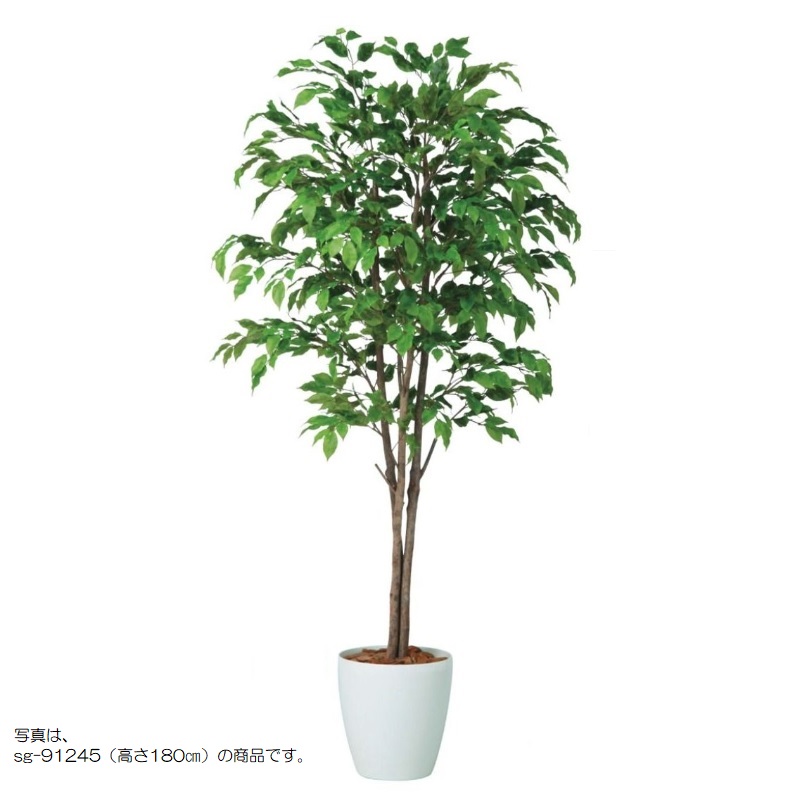 人工観葉植物 ベンシャミナスプラッシュトリプル 150 natural ポット付き 高さ150cm （P59-91246) （代引き不可） インテリアグリーン フェイクグリーン｜人形のゆめさき