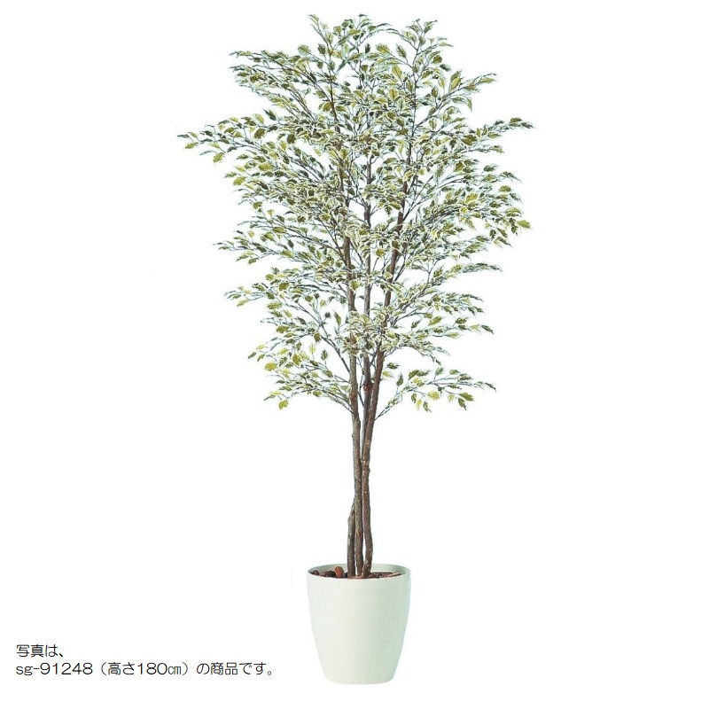 人工観葉草木 ベンジャミナスターライトトリプル 200 natural ポット付き添い人 高さ200珊 （P59-91247) （代引っ張ること不可） 室内装飾緑であること フェイクグリーン