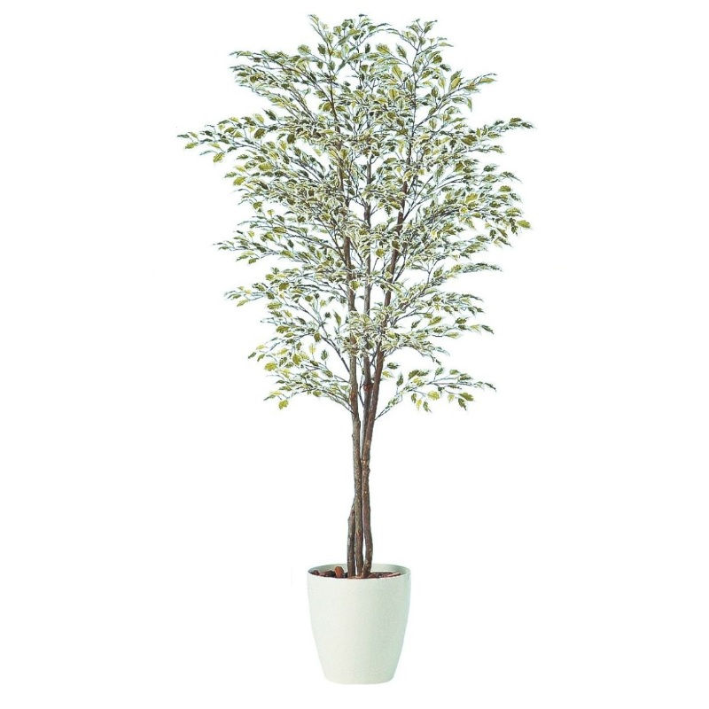 人工観葉植物 ベンジャミナスターライトトリプル 180 natural ポット付き 高さ180cm (P59-91248) (代引き不可) インテリアグリーン フェイクグリーン|人形のゆめさき