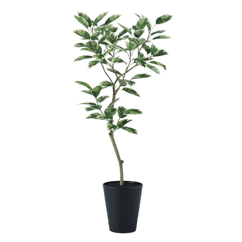 人工観葉植物 デコラトリカラー FST 150 ポット付き 高さ150cm （P50-91606) （代引き不可） インテリアグリーン フェイクグリーン｜人形のゆめさき 38,578円